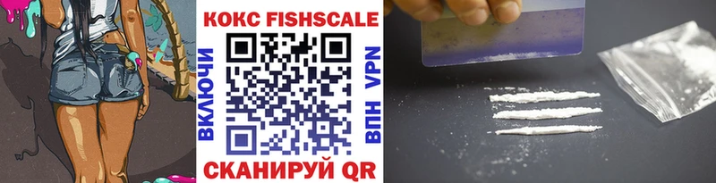 продажа наркотиков  МЕГА как войти  Cocaine FishScale  Новомичуринск 