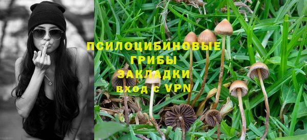 бутират Алексин